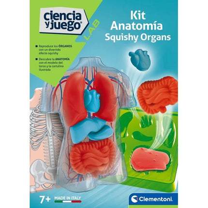 Kit Anatomia Squishy Organs