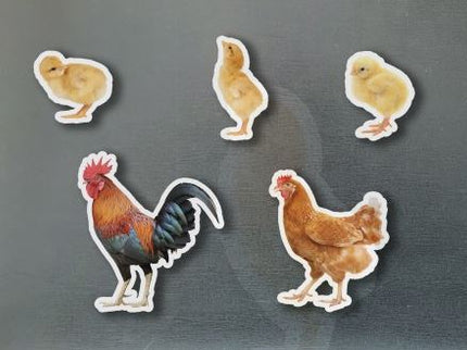 Magneticos Familia Gallinas