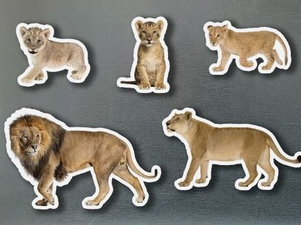 Magneticos Familias Leones