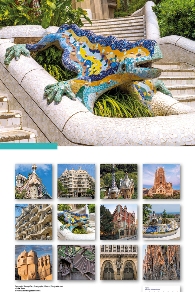 Cal. 2026 Pared (30x30 Cm) Gaudí-2 A (drac)