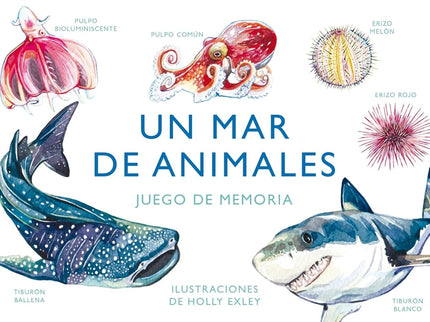 Mar De Animales:juego De Memoria
