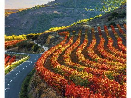 DESCUBRIR ESPAÑA ROAD TRIPS - DK - OTRO FORMATO LIBRO