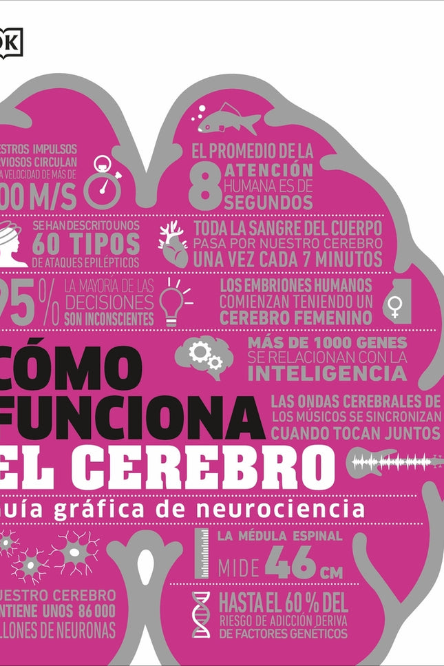 Cómo Funciona El Cerebro