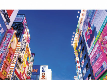 Japón (guías Visuales)