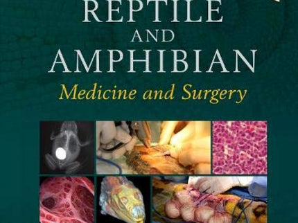 Mader´s Reptile And Amphibian Medicina And Surgery