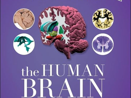 Nolte´s The Human Brain