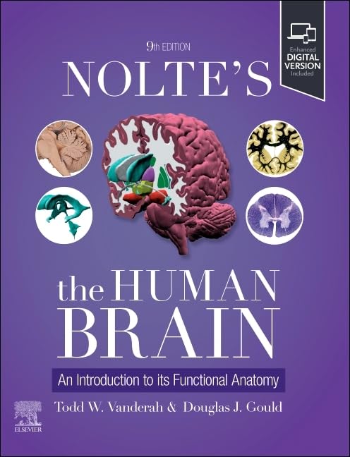 Nolte´s The Human Brain