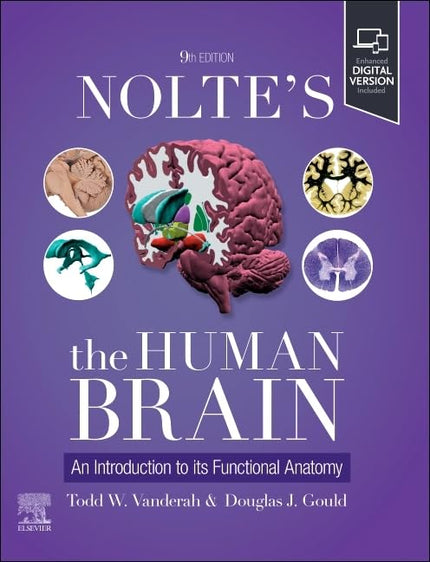 Nolte´s The Human Brain