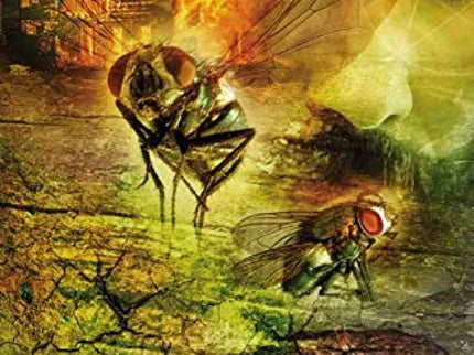 Libro Locked Room And O Ther Horror Stories Mp3 Pack: There are strange and horrible creatures, witches, a boy with no h
