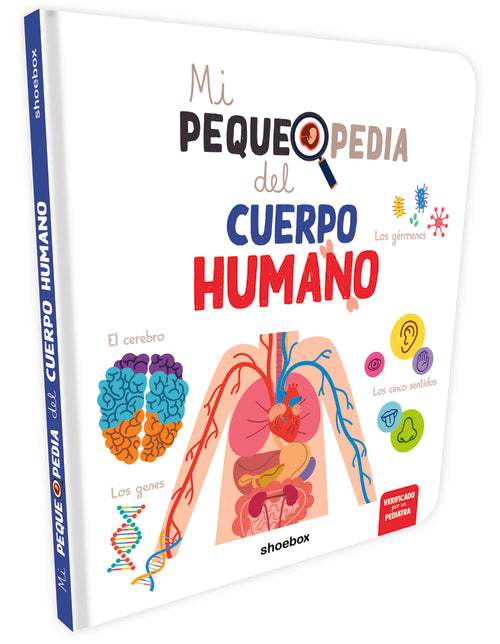 Cuerpo Humano