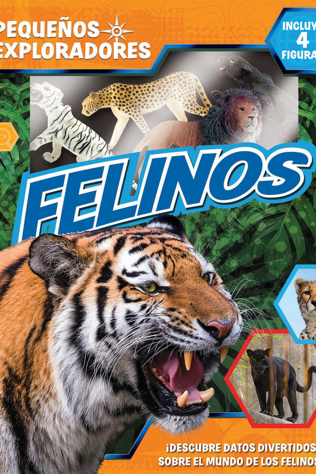 Felinos (pequeños Exploradores)