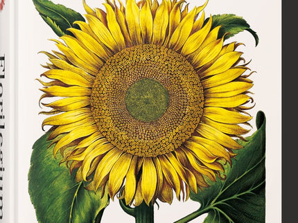 Basilius beslers florilegium the book of plants - Dressendã¶rfer - CartonÃ©