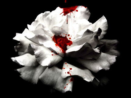 Anhelo (serie Crave 1)