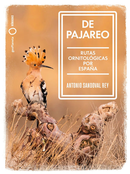 De Pajareo
