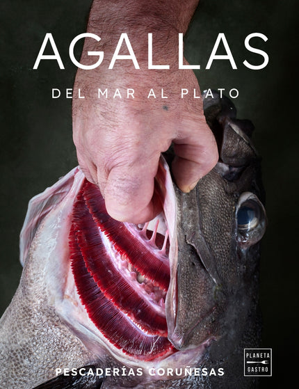 Collection image for: Cocina con pescado y frutos de mar