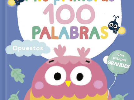 Mis Primeras 100 Palabras Con Texturas. Opuestos