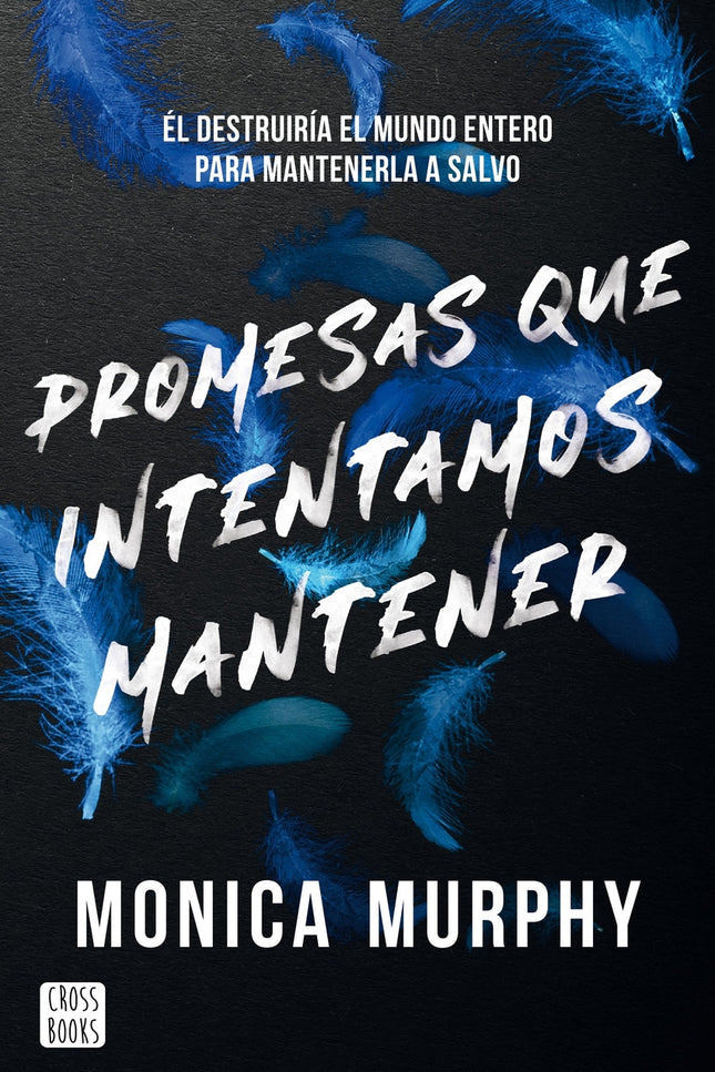 Promesas Que Intentamos Mantener