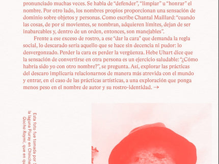 Plagie Copie Manipule Robe Reescriba Este Libro