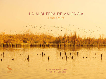 La Albufera De València Desde Dentro