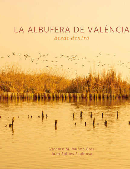 Collection image for: Tierras anegadizas, pantanos, marjales