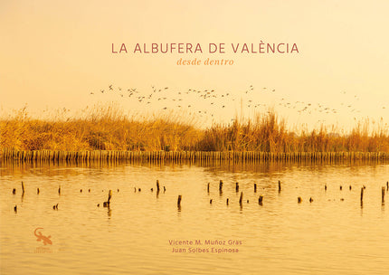 La Albufera De València Desde Dentro