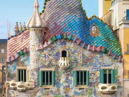 Casa Batlló : La Casa De Barcelona