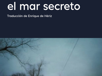El Nadador En El Mar Secreto