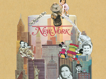 Vision De Nueva York