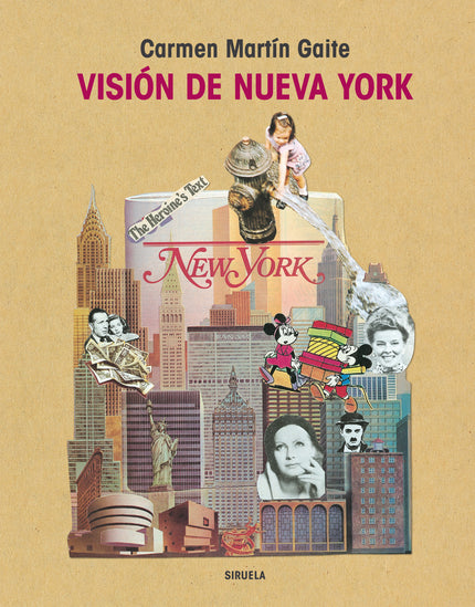Vision De Nueva York