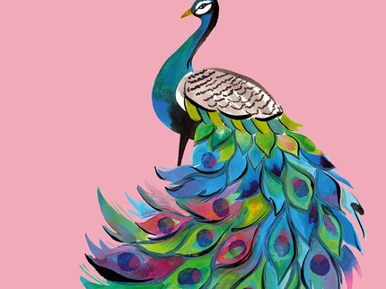 Orgullo Y Prejuicio (panorama)