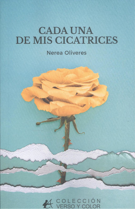 Cada Una De Mis Cicatrices