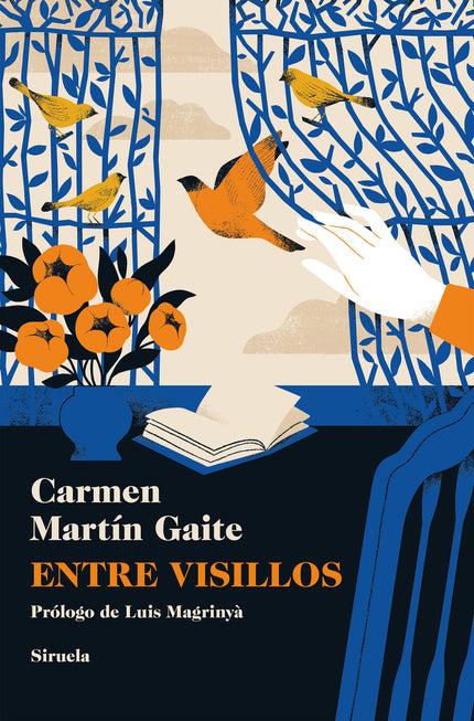 Entre Visillos