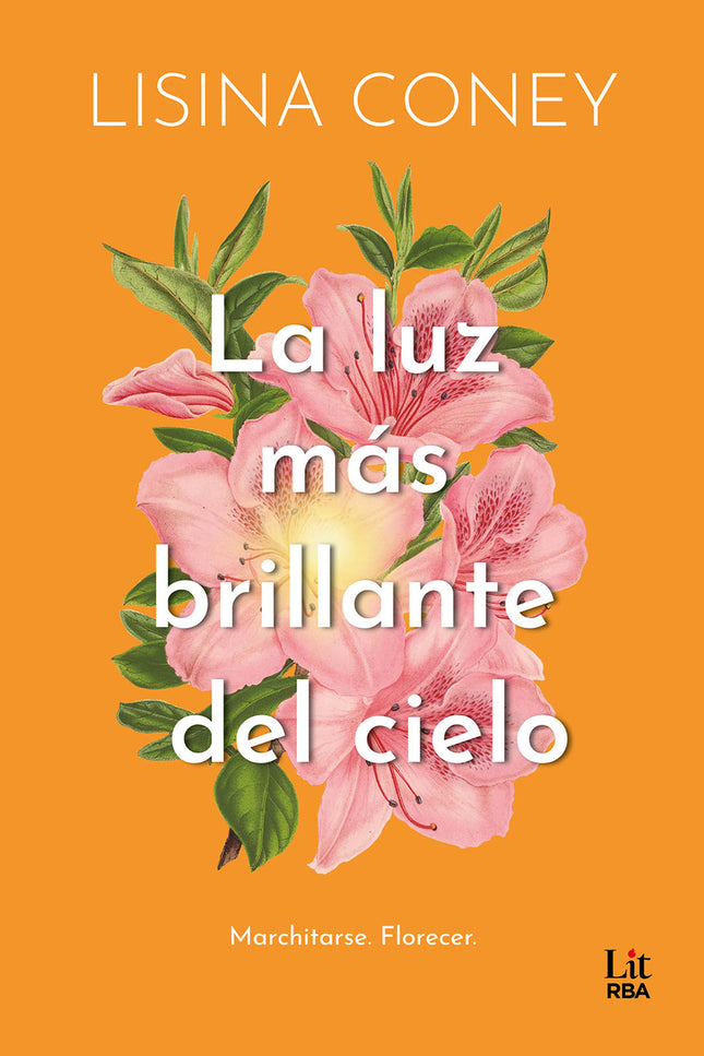 La Luz Más Brillante Del Cielo