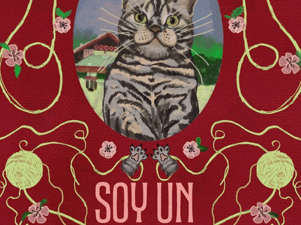 Soy Un Gato