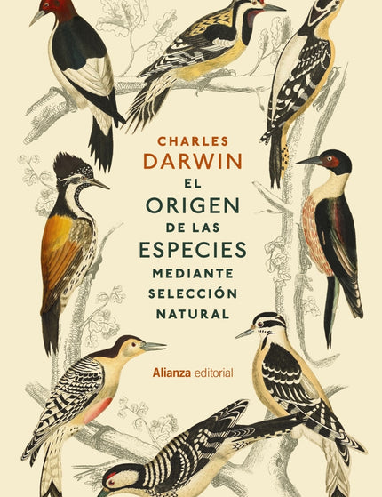Collection image for: Evolución