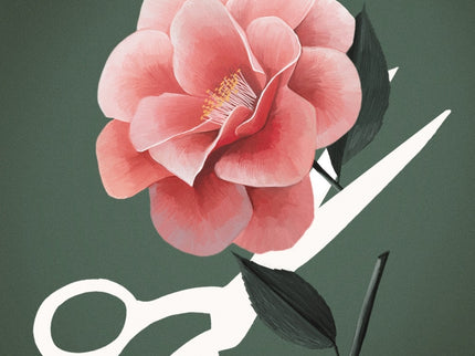 La Dama De Las Camelias