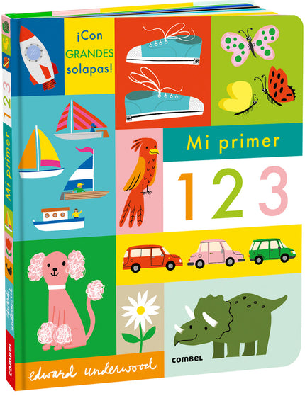 Collection image for: Diccionarios pictóricos (infantil/juvenil)