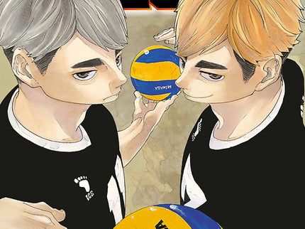 Haikyû!! Nº 29/45