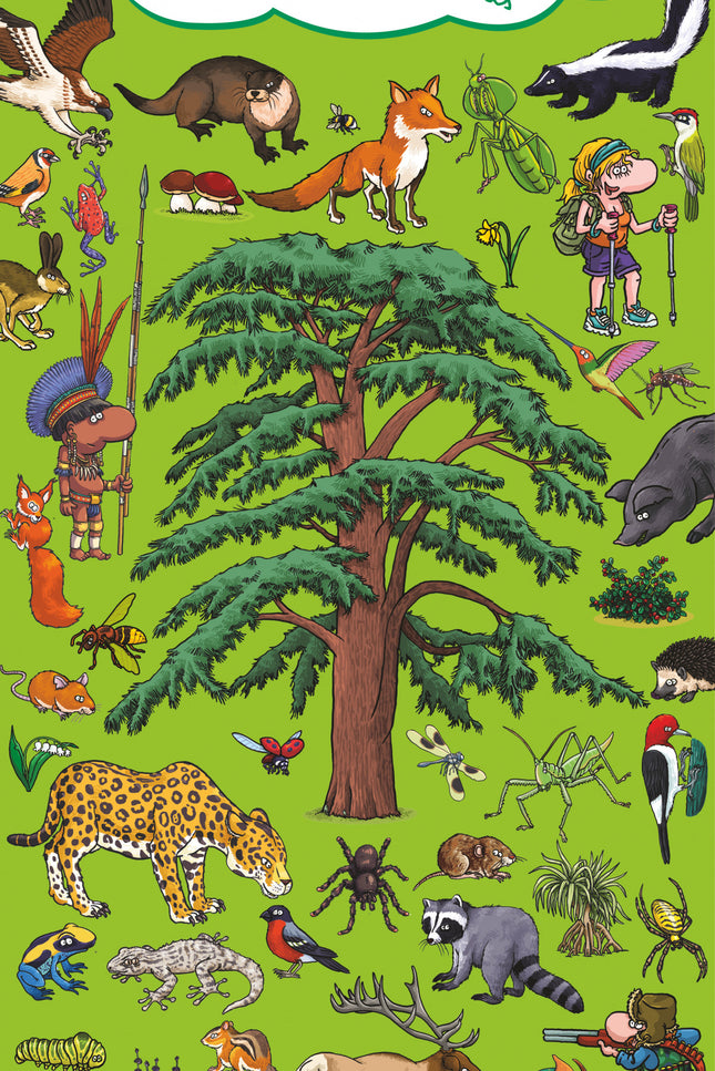 Busca Y Encuentra En Los Bosques Y Selvas