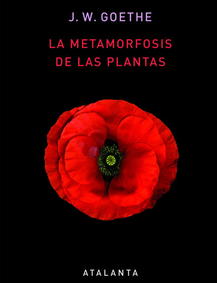 Collection image for: Fisiología vegetal