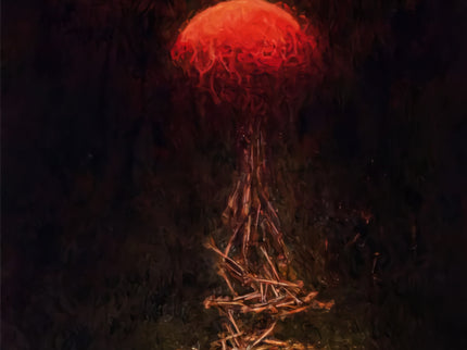 Agujeros De Sol