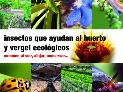 Insectos Que Ayudan Al Huerto Y Vergel Ecológicos