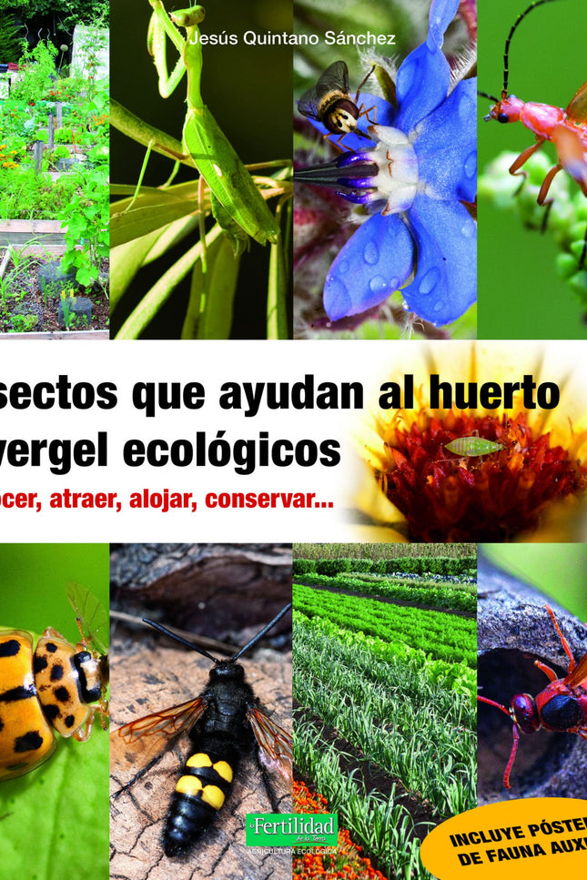 Insectos Que Ayudan Al Huerto Y Vergel Ecológicos