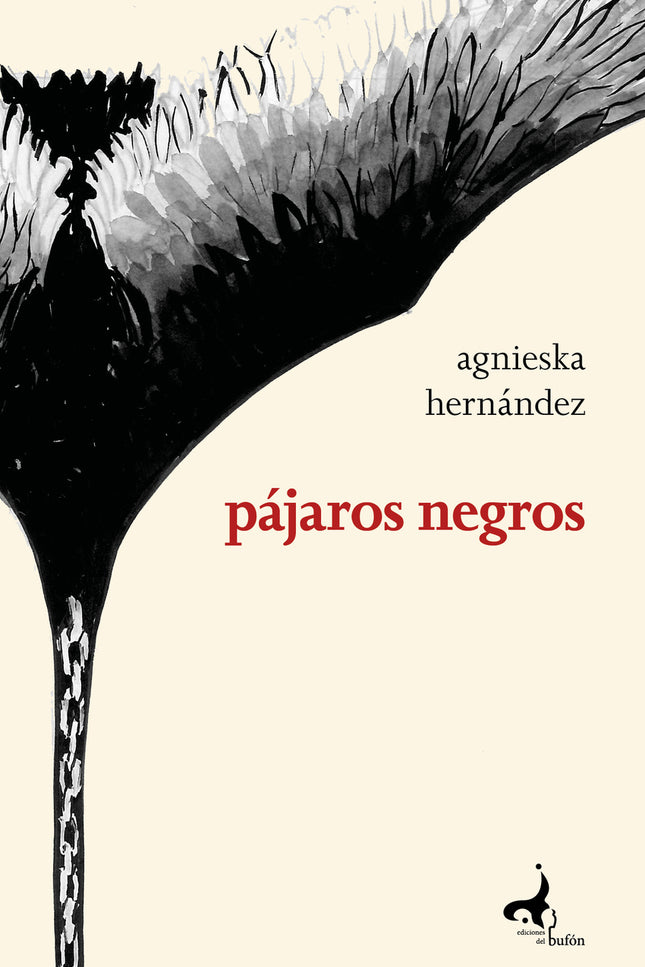 Pájaros Negros