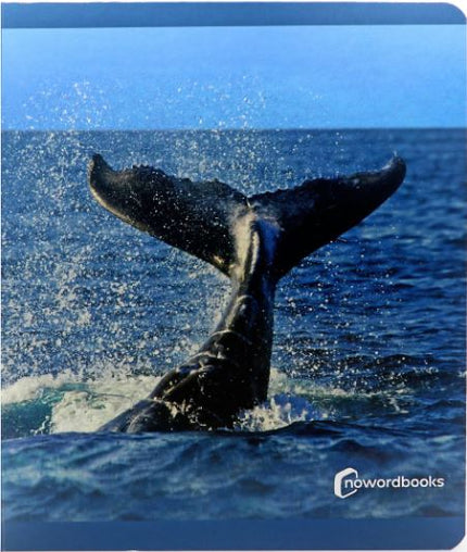 Animales Del Mar
