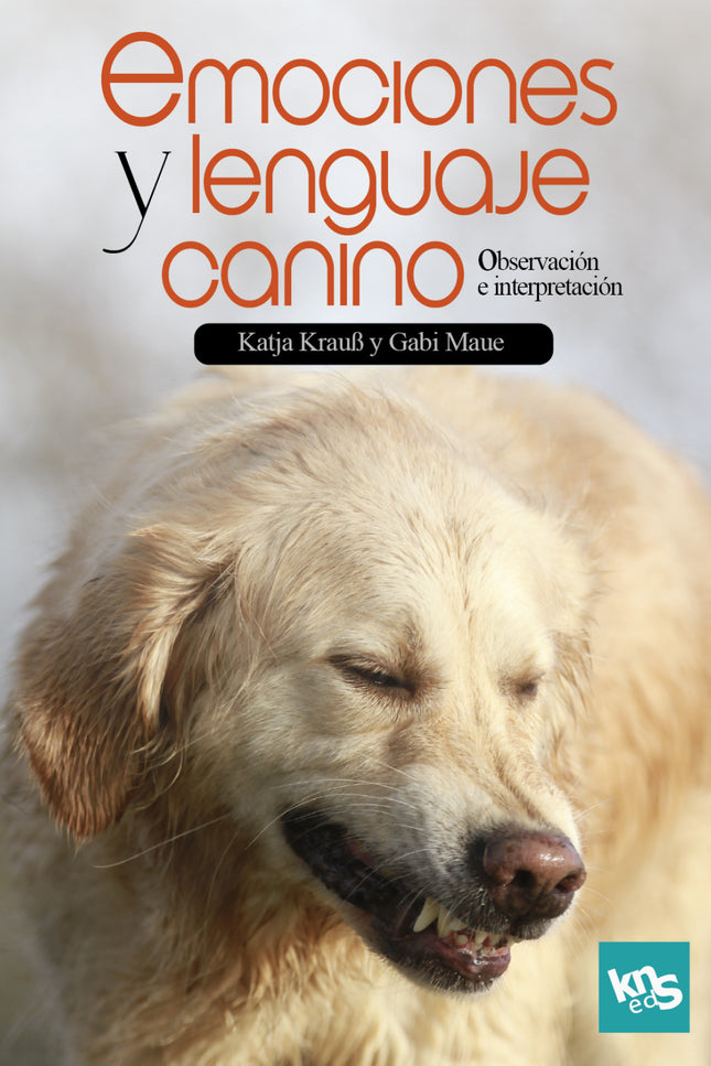 Emociones Y Lenguaje Canico Observacion E Interpretacion