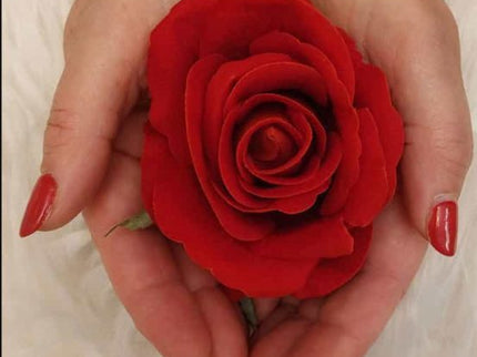 Rosas Sin Espinas