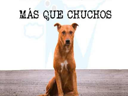 Relatos Seleccionados Más Que Chuchos