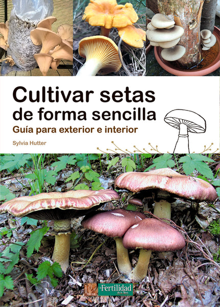 Cultivar Setas De Forma Sencilla