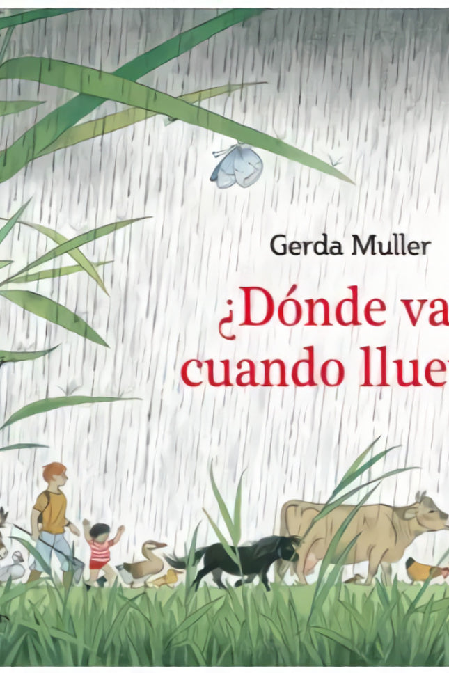 Donde Van Cuando Llueve 2 Edicion